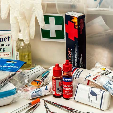 Kitdeemergencias-artículo-PalmaresdelFrancés